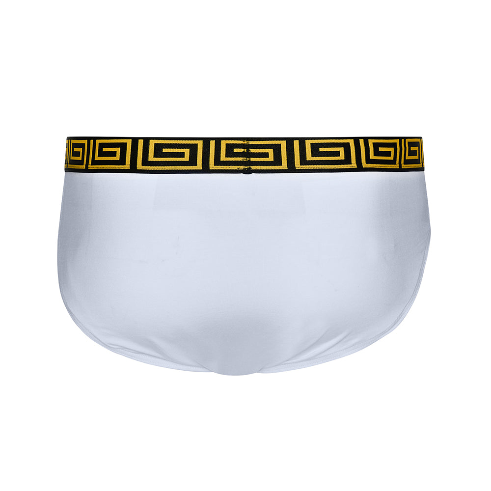 SHEATH Men's Dual Pouch Euro Briefs