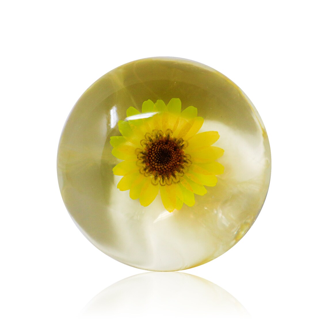 4 Pack of Natural, Neutral, Vegan, Organic Clear Flower Soap, Handmade With Premium Essential Oils, For All Skin Types, Gift Set