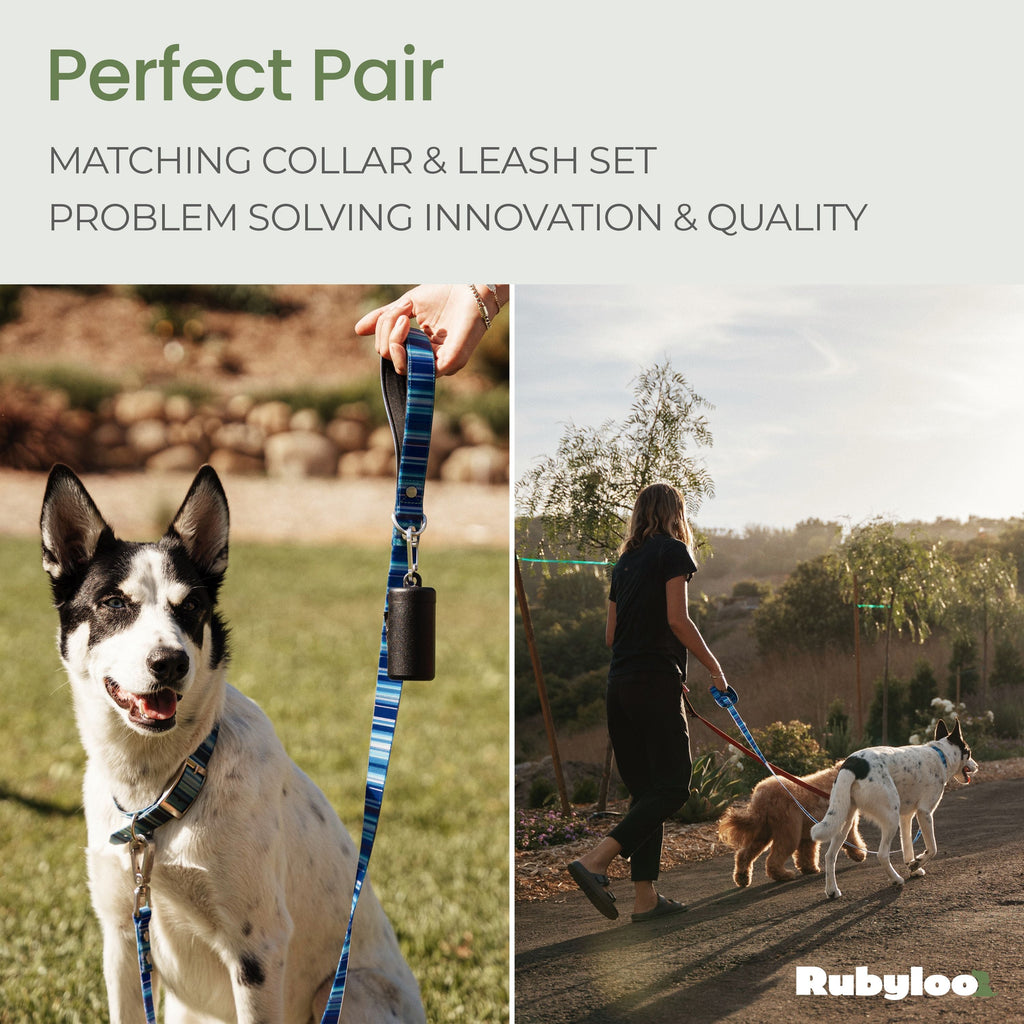 Waterproof Dog Collars – Washable Dog Collar, Stink-Proof & Durable